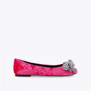 Ballerine Kurt Geiger Bow Plates Femme Rose | MNQR-86410