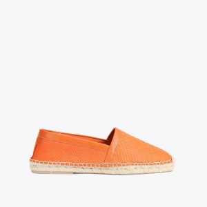 Chaussure Casual Kurt Geiger Isaac Homme Orange | QVAI-83025