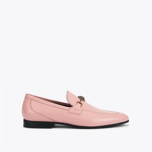 Chaussure Habillée Kurt Geiger Ali Homme Rose | YKDU-63519