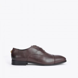 Chaussure Habillée Kurt Geiger Harris Oxford Homme Marron | MACN-58746