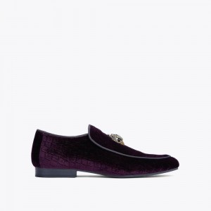 Chaussure Habillée Kurt Geiger Hugh Eagle Velvet Homme Violette | IZAM-45129