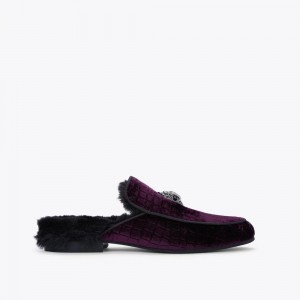 Chaussure Habillée Kurt Geiger Hugh Mule Homme Violette | CJDZ-58402