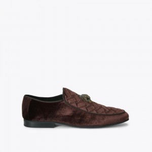 Mocassin Kurt Geiger Hugh Eagle Head Homme Marron | MSDG-04582