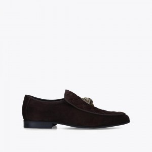 Mocassin Kurt Geiger Hugh Eagle Homme Marron | AUXN-25439