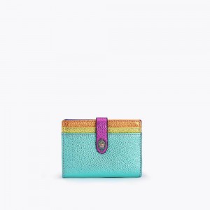 Porte-Carte Kurt Geiger Femme Multicolor/Other | BMKD-07149