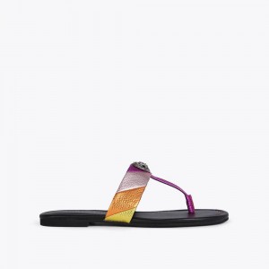 Sandale Kurt Geiger Kensington T-bar Femme Multicolor/Other | CDHR-46513