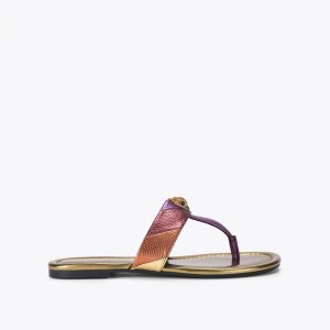 Sandale Kurt Geiger Kensington T-bar Femme Multicolore | UIRG-48609