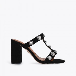 Talons Kurt Geiger Octavia Block Mule Femme Noir | ALYZ-51430