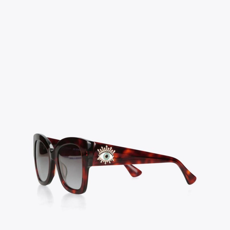 Lunette de Soleil Kurt Geiger Square Butterfly Femme Marron | FJZB-94187