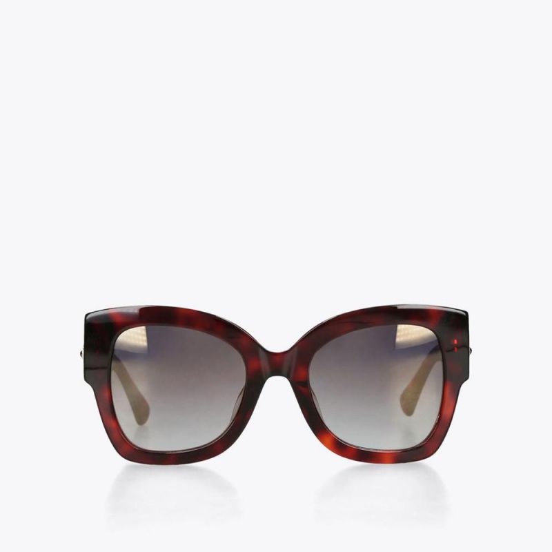 Lunette de Soleil Kurt Geiger Square Butterfly Femme Marron | FJZB-94187