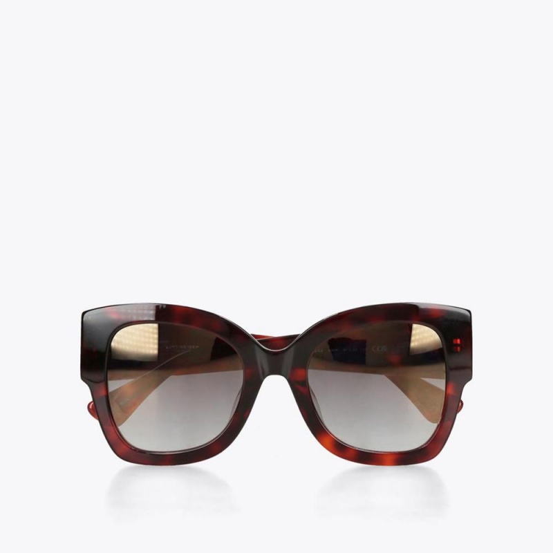 Lunette de Soleil Kurt Geiger Square Butterfly Femme Marron | FJZB-94187